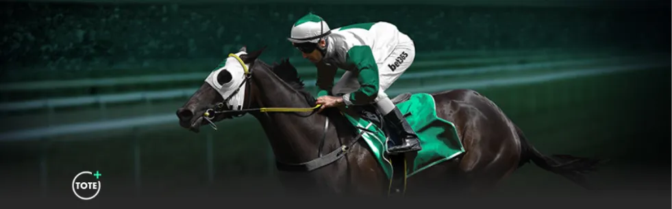 国内足球,吴曦精准助,陈晋一精彩,新葡京,新葡京app,新葡京娱乐,新普京赌场