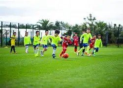 大乐透期号,专家推荐,质合分析前,新葡京,新葡京app,新葡京娱乐,新普京赌场