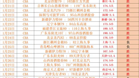 苏丹军队宣布夺回杰济拉州一城市控制权