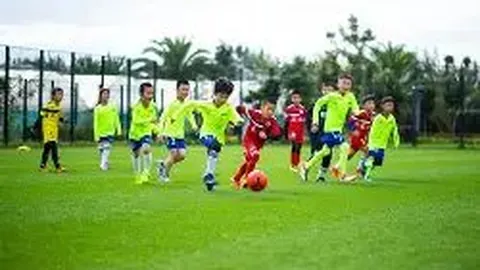 大乐透期号专家推荐：质合分析前区十码，国安走势预测