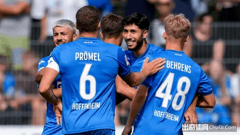 大乐透期号专家推荐：法基克对流浪者质合分析，近15中13